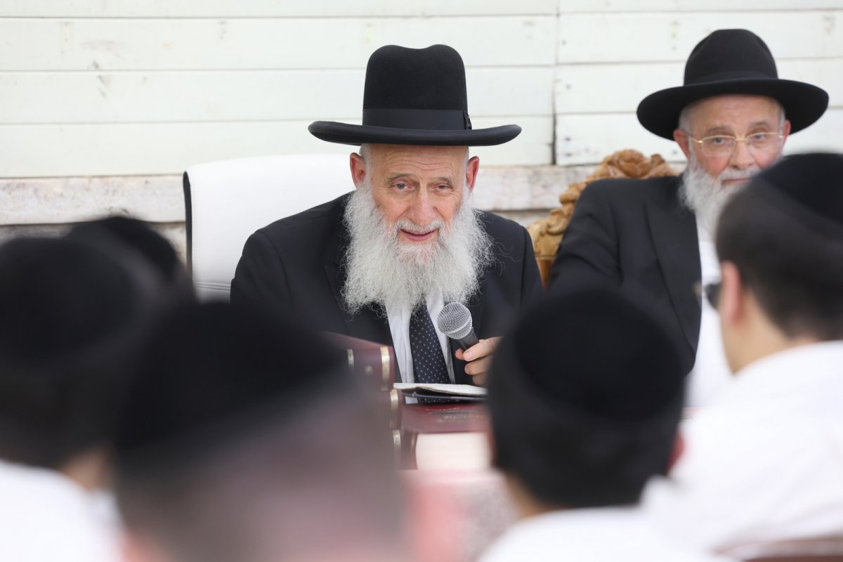 יעקב כהן