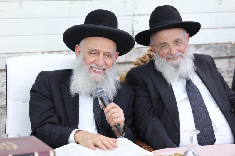 יעקב כהן
