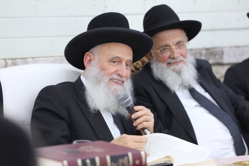 יעקב כהן