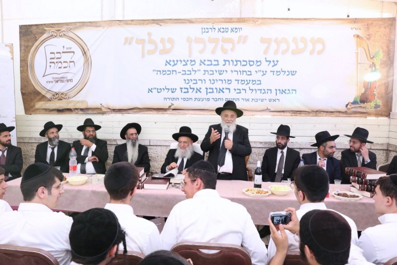 יעקב כהן