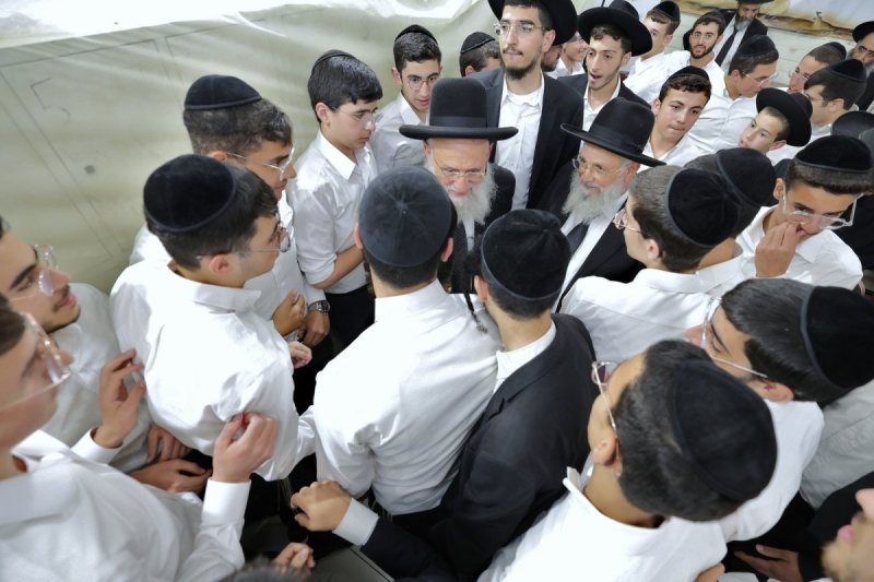 יעקב כהן