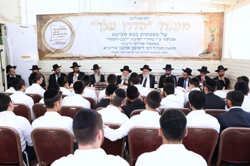 יעקב כהן