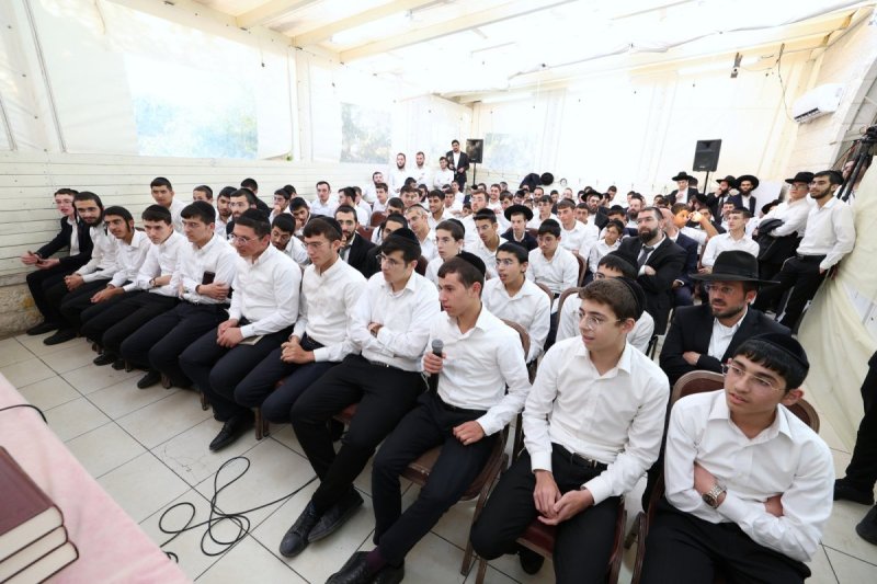 יעקב כהן