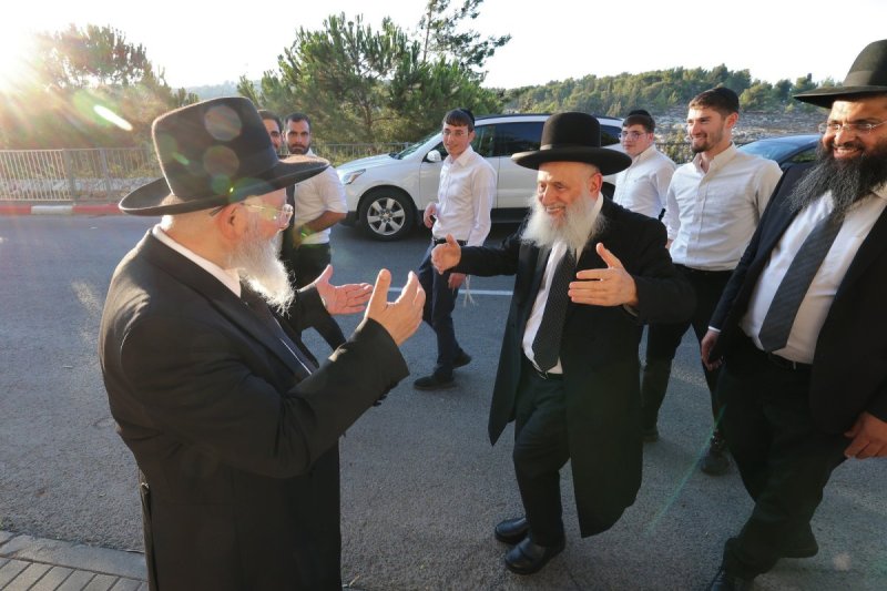 יעקב כהן