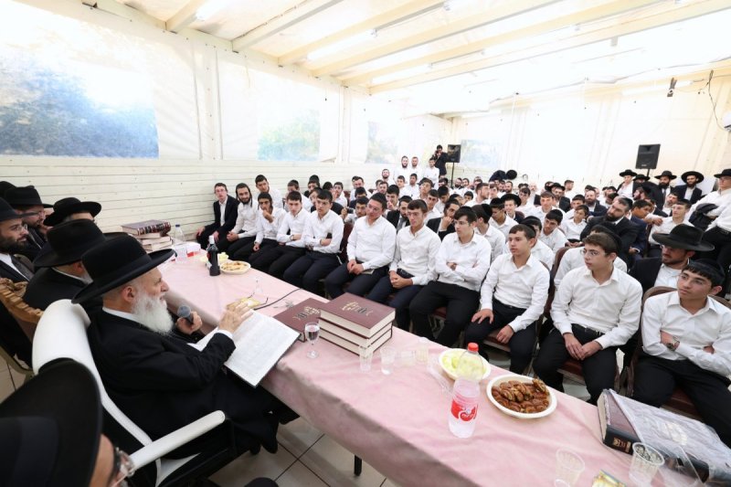 יעקב כהן