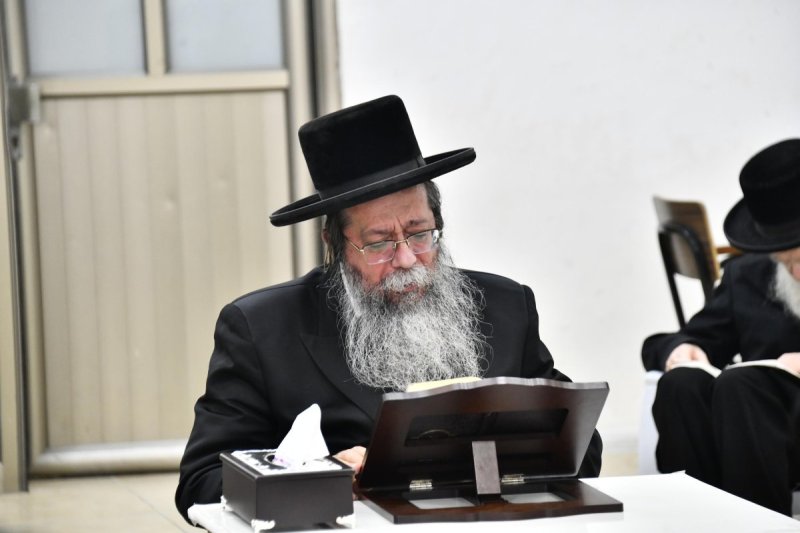 שוקי לרר