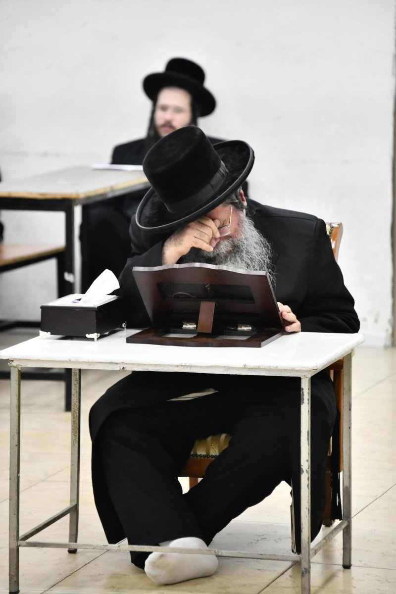 שוקי לרר