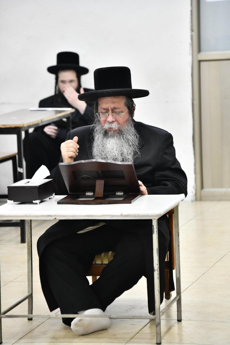 שוקי לרר