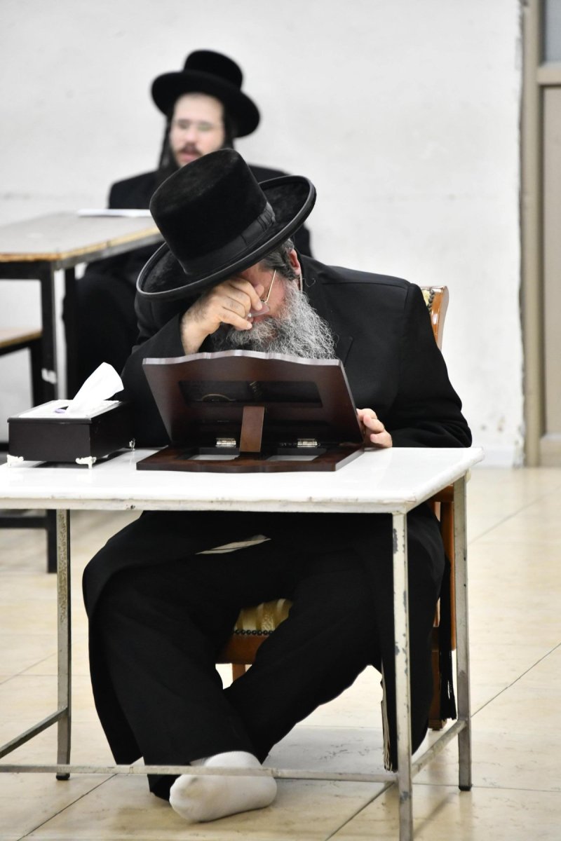 שוקי לרר