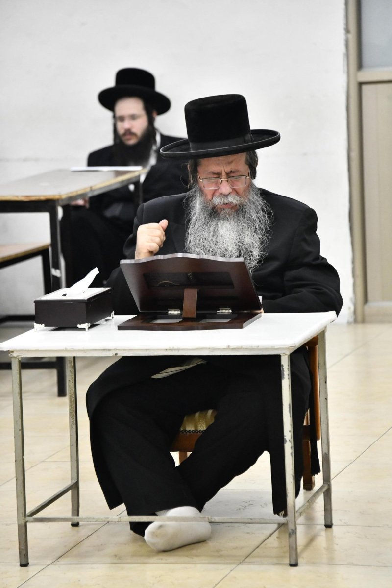 שוקי לרר