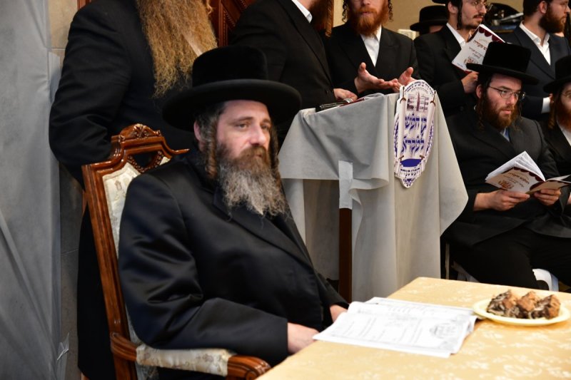 יוסי לוי