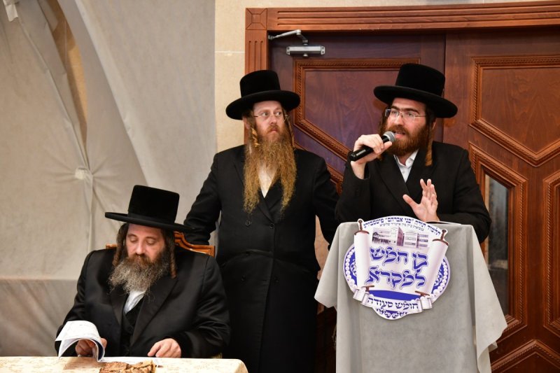 יוסי לוי
