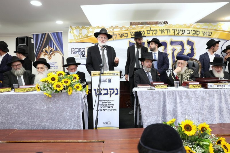 יעקב כהן