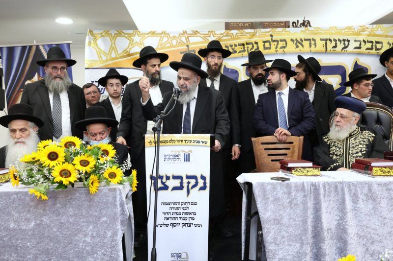 יעקב כהן