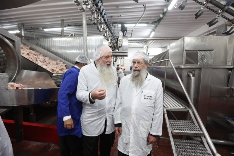 יעקב כהן