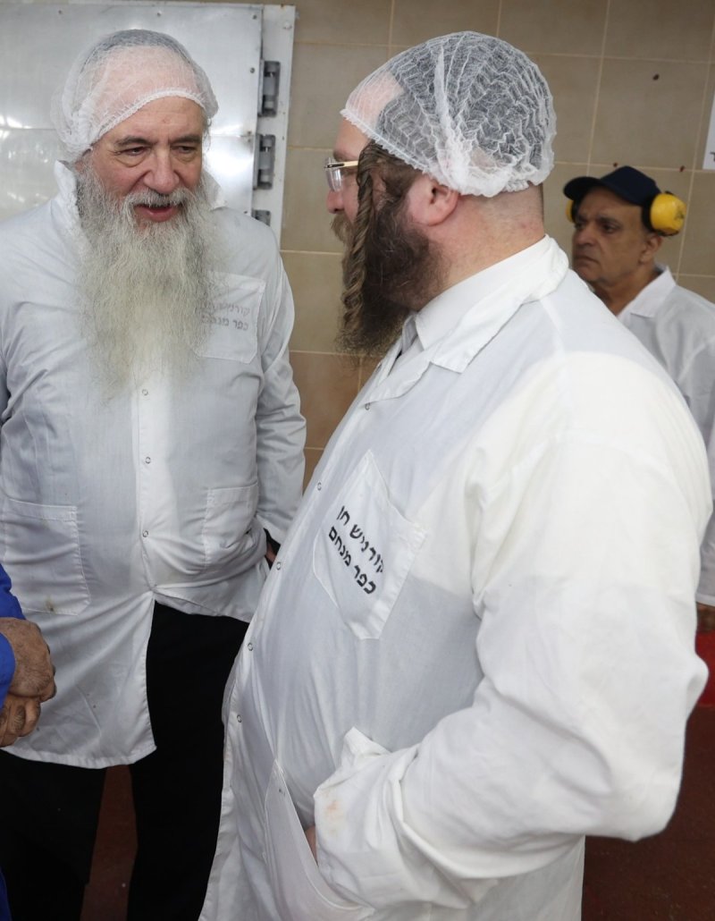 יעקב כהן