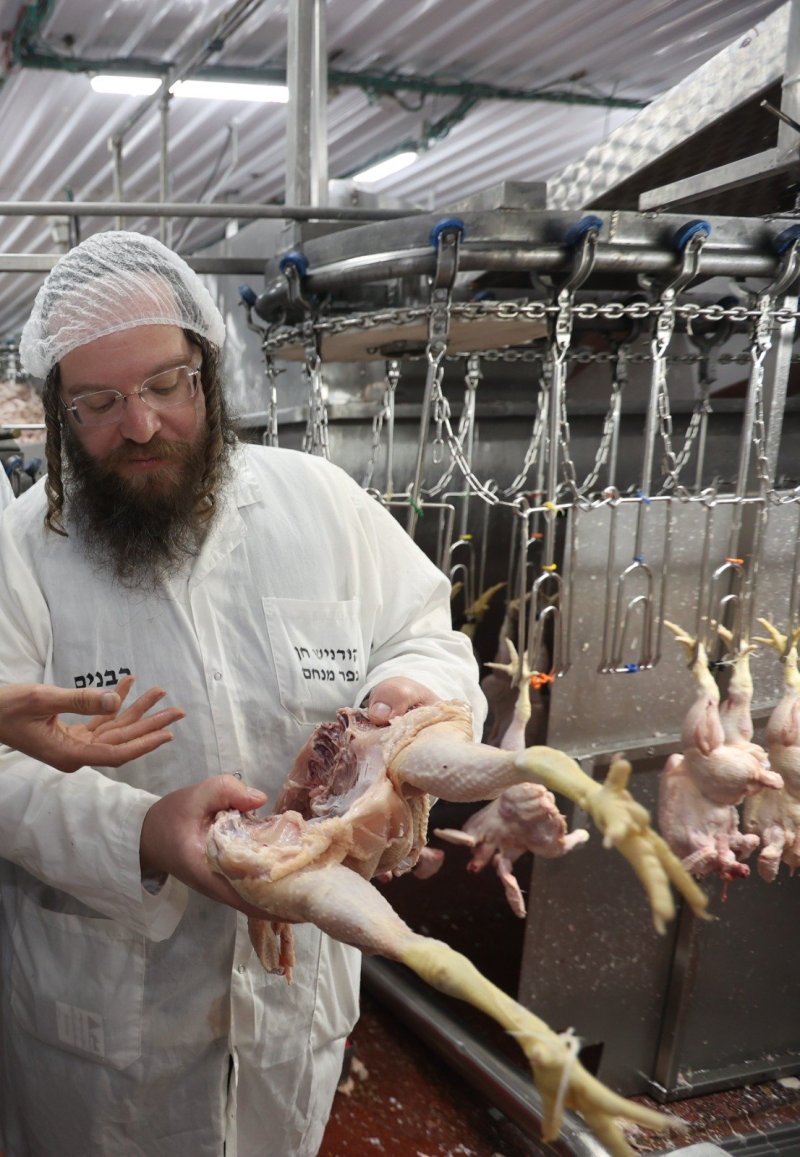 יעקב כהן