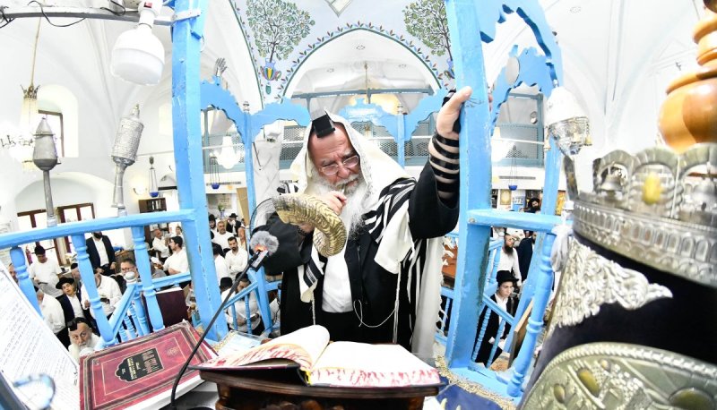 שוקי לרר
