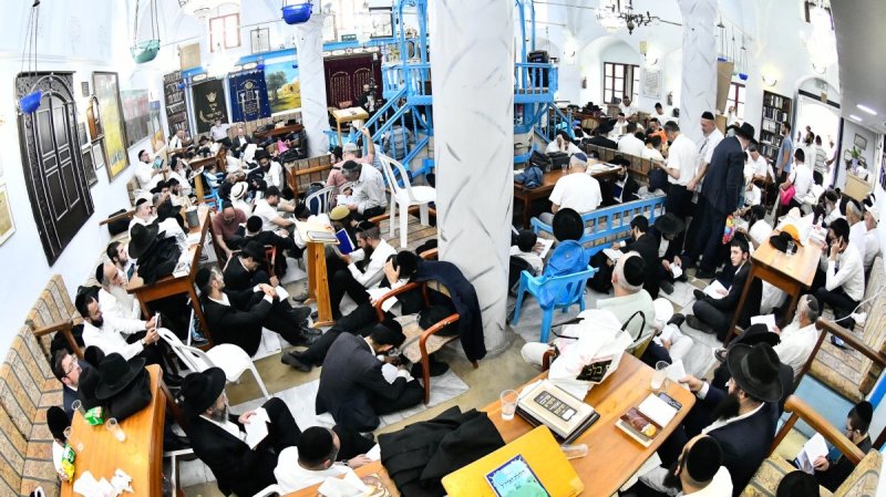 שוקי לרר