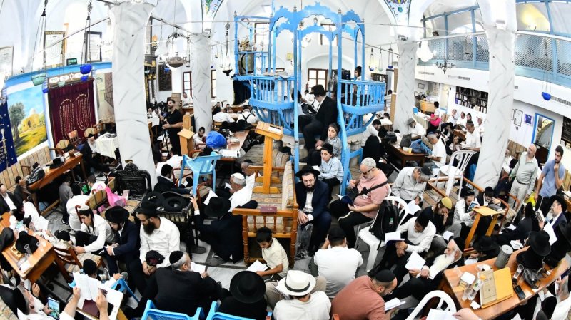 שוקי לרר