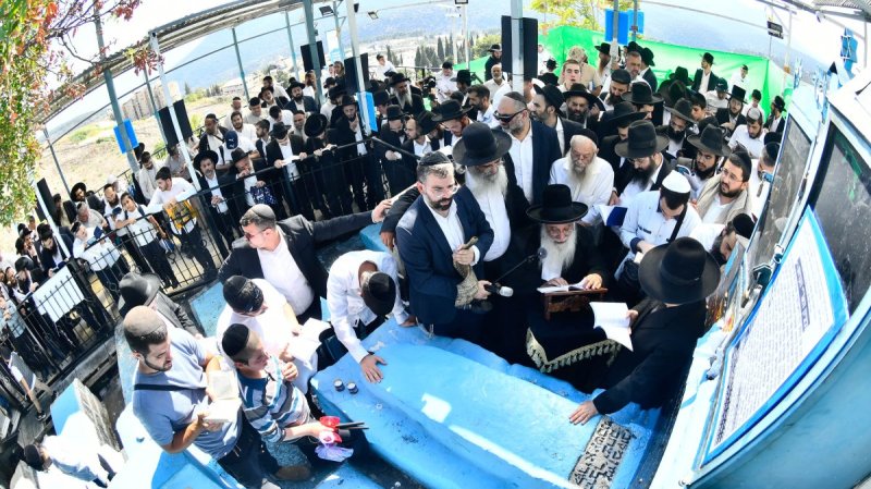 שוקי לרר