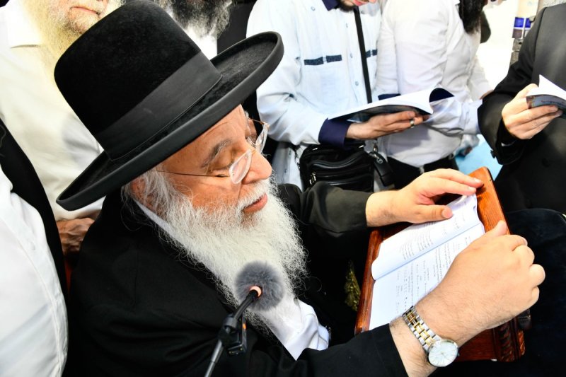 שוקי לרר