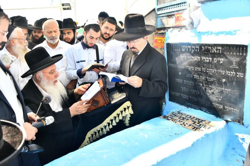 שוקי לרר