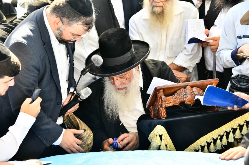 שוקי לרר