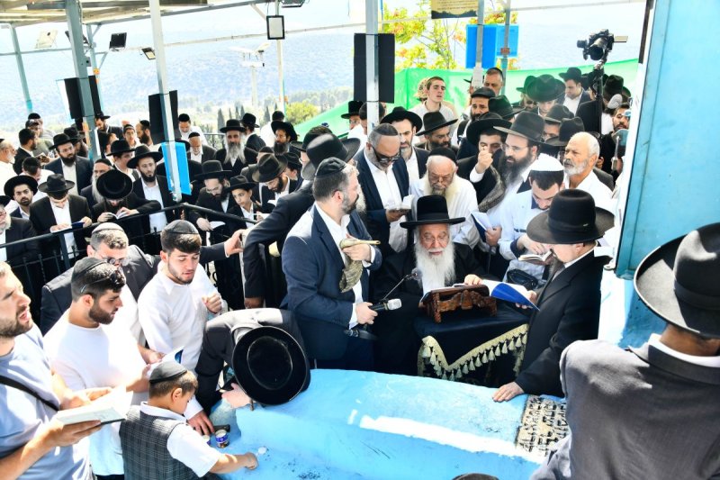 שוקי לרר