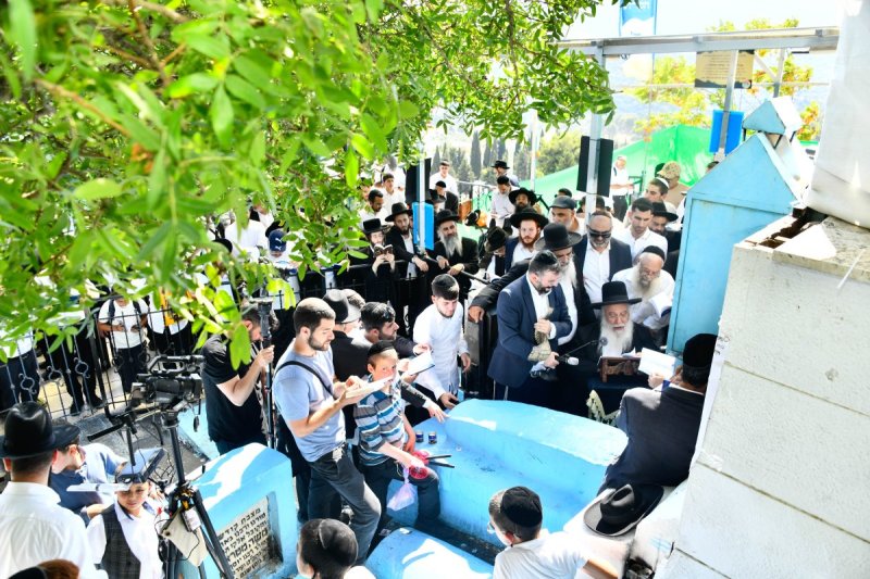 שוקי לרר