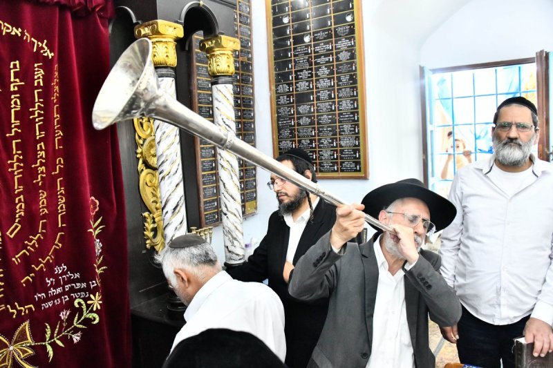 שוקי לרר