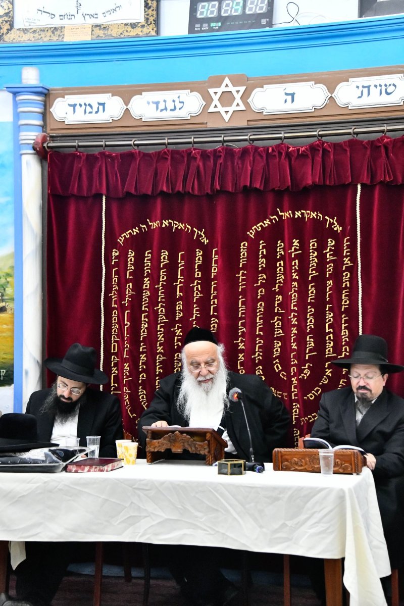 שוקי לרר