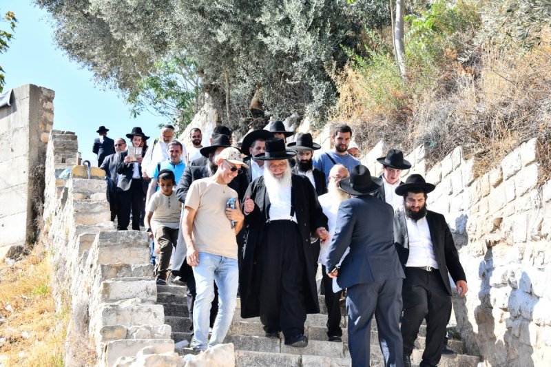 שוקי לרר