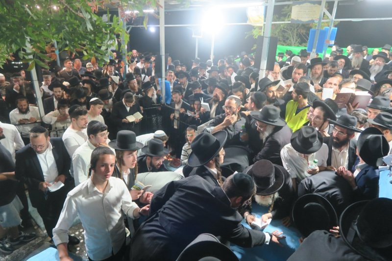 מ. אדלר