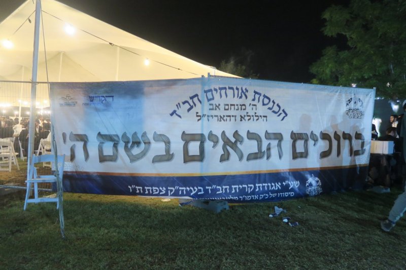 מ. אדלר