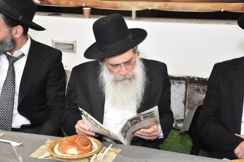 יהודה פרקוביץ