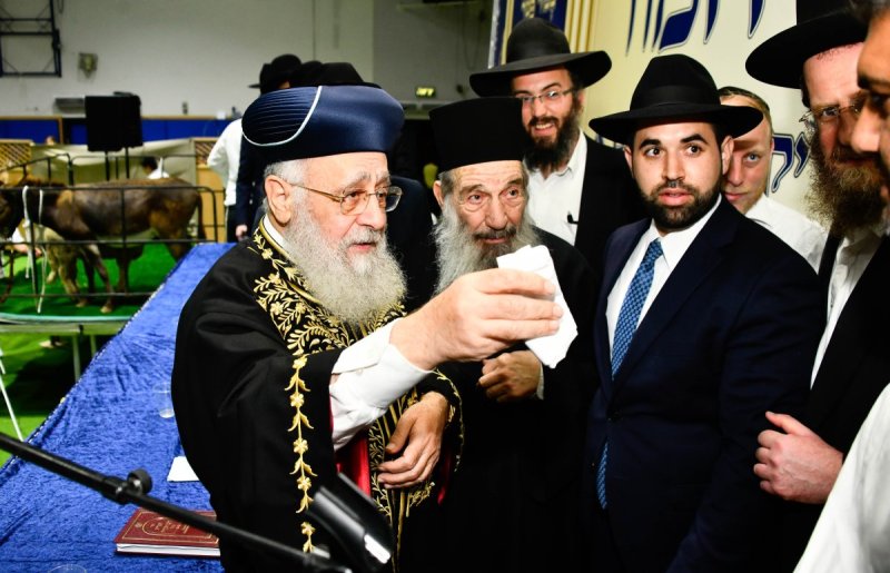 שוקי לרר