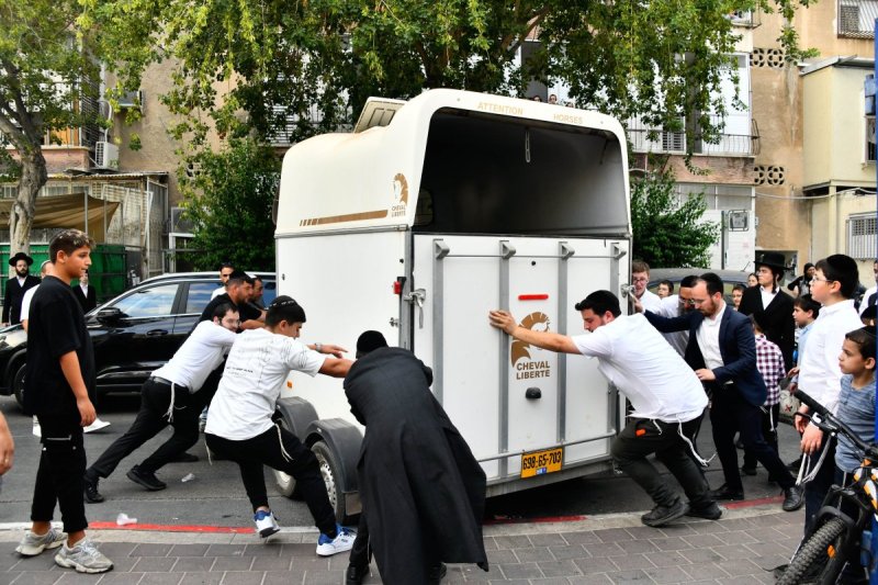 שוקי לרר