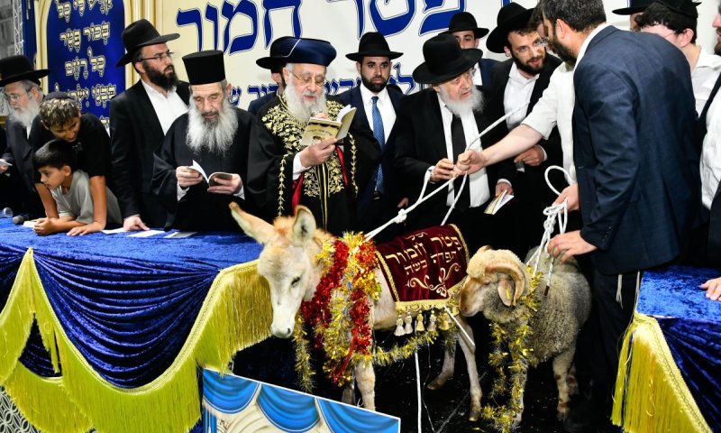 מעמד נדיר בב"ב: הראש"ל, החכם וראש הישיבה בפדיון פטר חמור