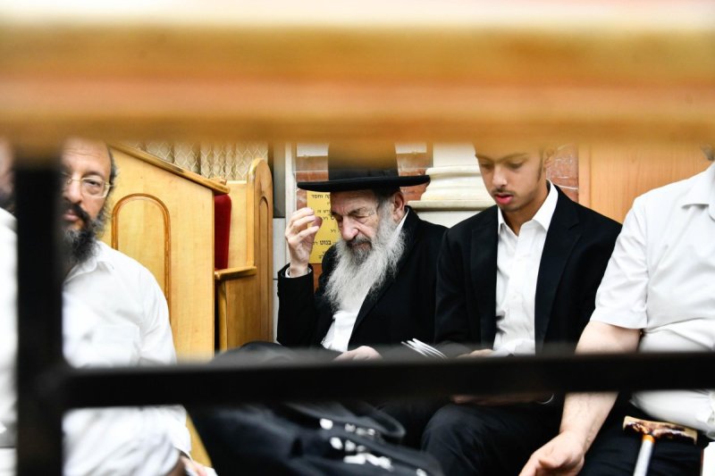 שוקי לרר