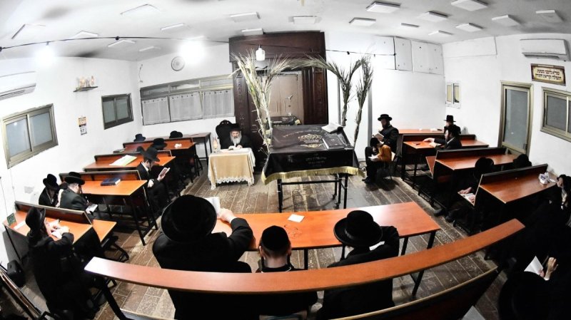 שוקי לרר