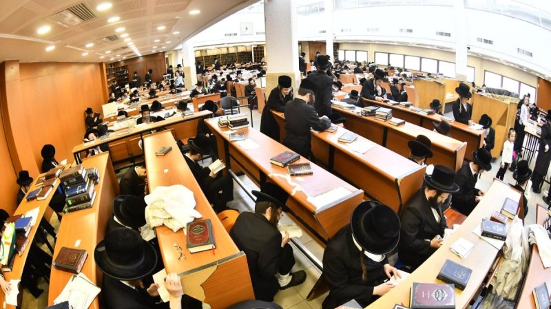 שוקי לרר