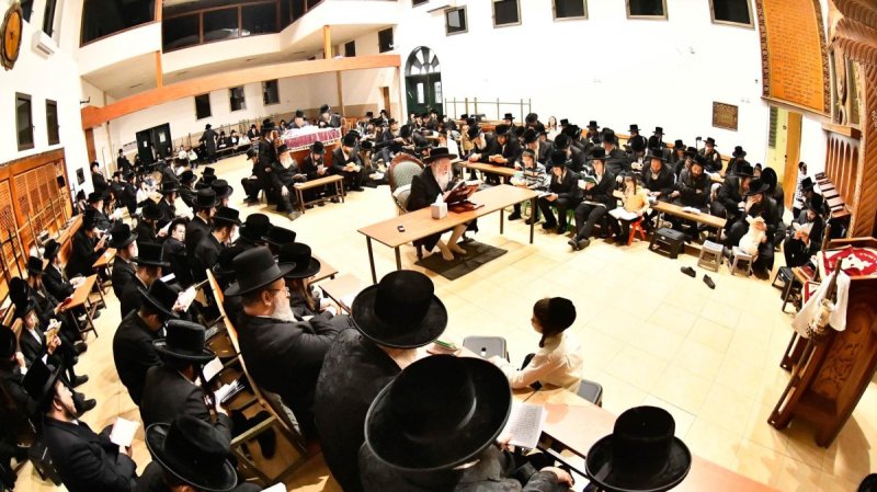 שוקי לרר