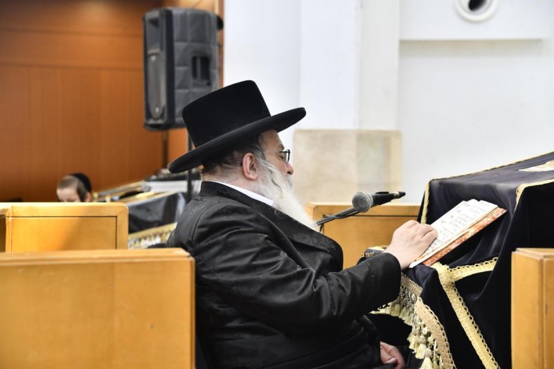 שוקי לרר