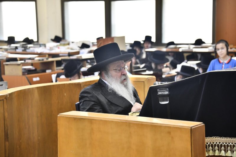שוקי לרר