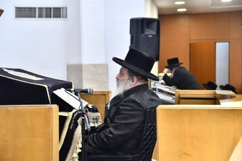 שוקי לרר