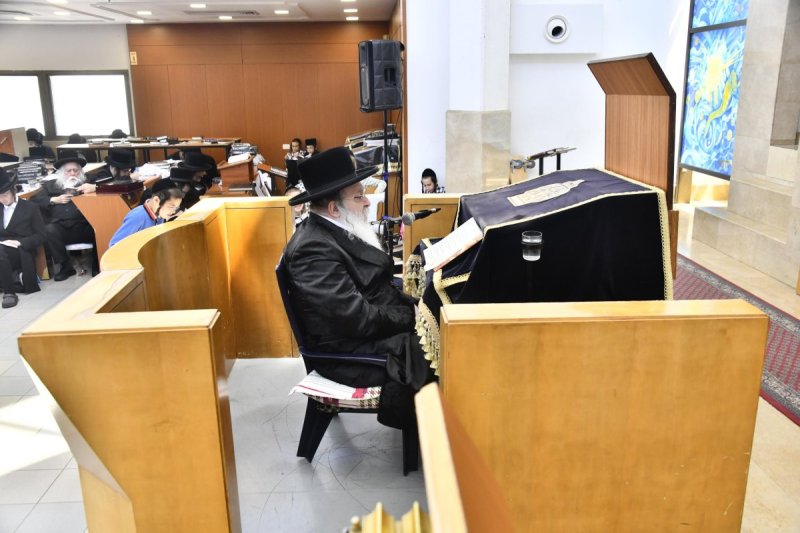 שוקי לרר