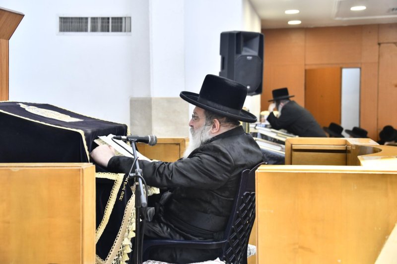 שוקי לרר