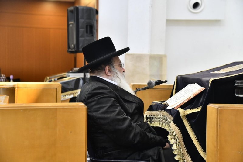 שוקי לרר