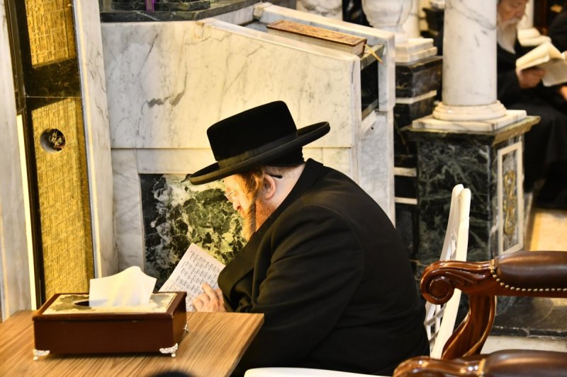 שוקי לרר